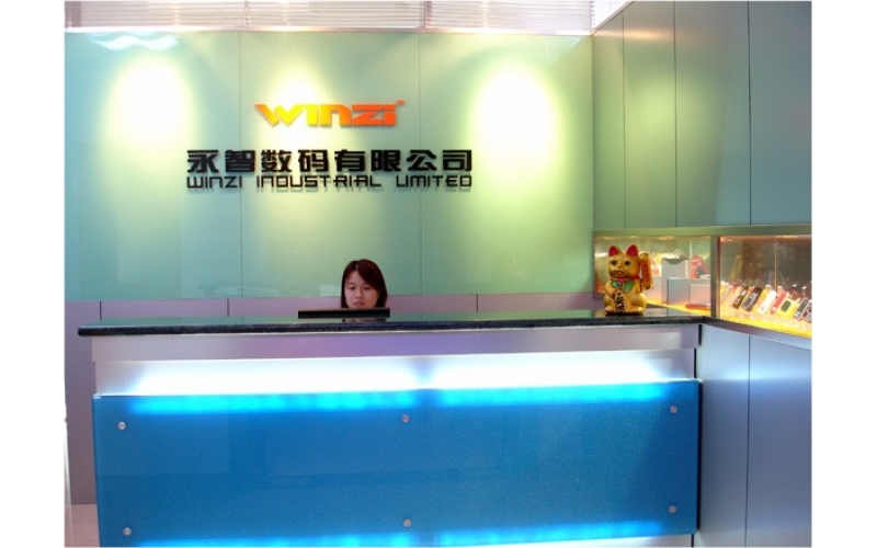 公司組織結(jié)構(gòu)圖，深圳市模具廠的最初結(jié)構(gòu)